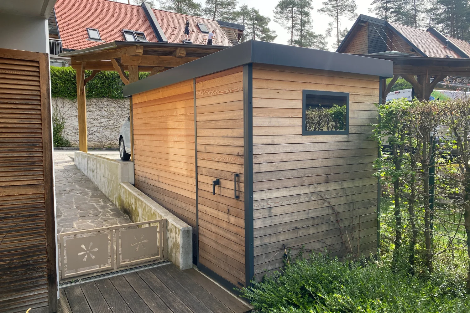 Sivenje macesna skozi čas-5